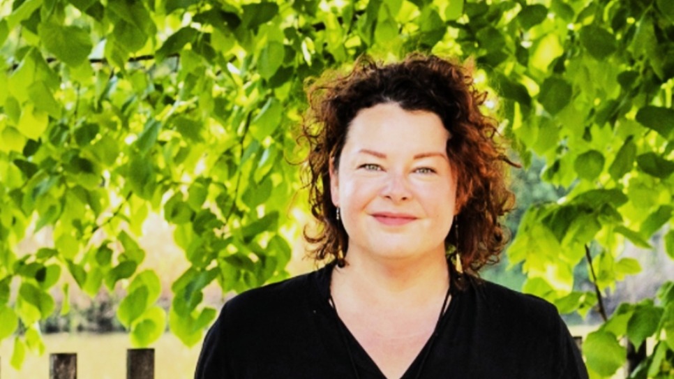 kouč Plzeň terapie Plzeň koučink kariéry